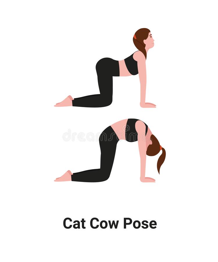 cat cow posture to prevent back aches